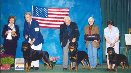 2003 CRC Specialty - 1st Place Stud Dog